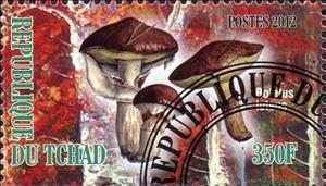 Stamp, Boletus luleus, Cinderellas,  , Mushrooms