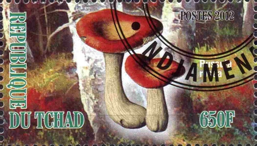 Russula
