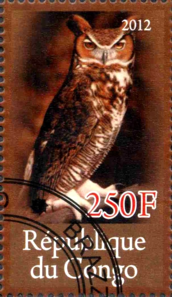 Owl
