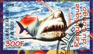 Stamp, Carcharias taurus, Cinderellas,  