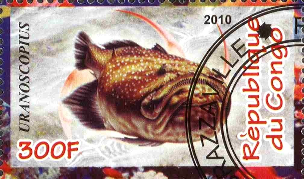 Uranoscopius