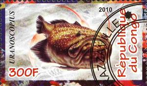 Stamp, Uranoscopius, Cinderellas,  
