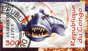 Stamp, Anarhichas lupus, Cinderellas,  , Animals (Fauna)