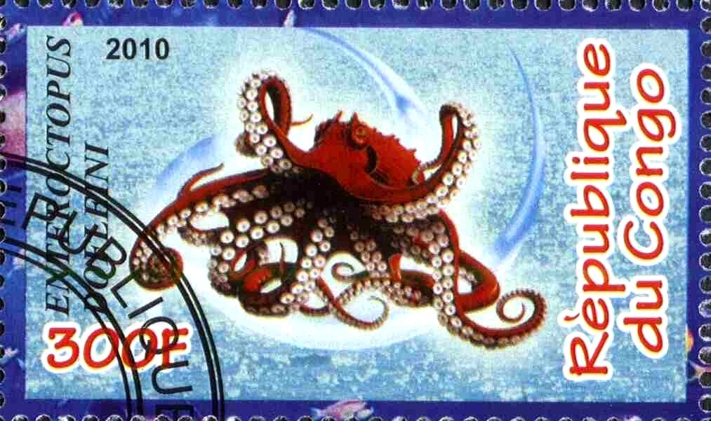 Enteroctopus dofleini