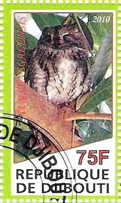 Otus Senegalensis