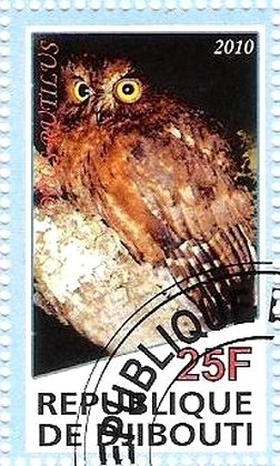 Otus Rutilitus