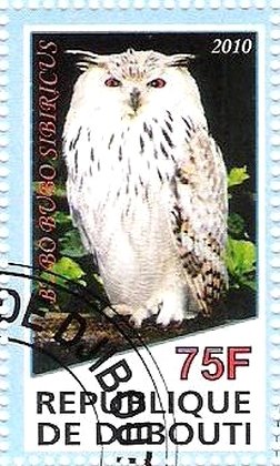 Bubo Bubo Sibiricus