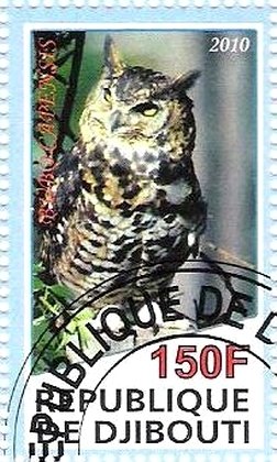 Bubo Capensis