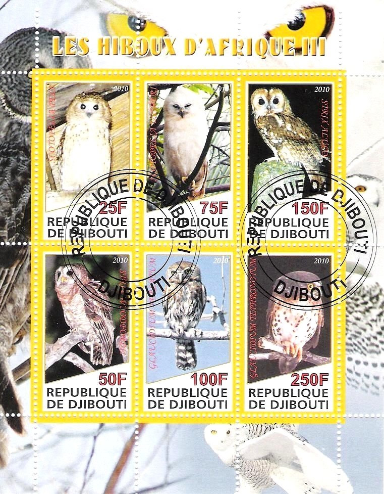 The African owls III