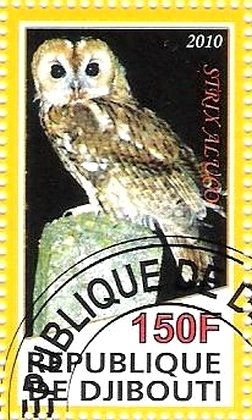 Stamp, Strix Alugo, Cinderellas,  , Animals (Fauna), Birds, Birds of Prey, Owls