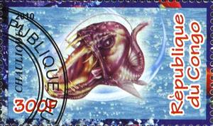 Stamp, Chauliodus, Cinderellas,  