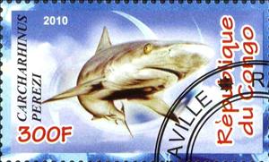 Stamp, Carchahinus perezi, Cinderellas,  