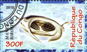 Stamp, Manta birostris, Cinderellas,  