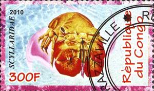 Stamp, Scyllaridae, Cinderellas,  
