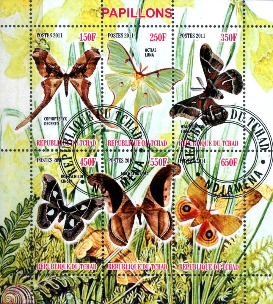 Papillons