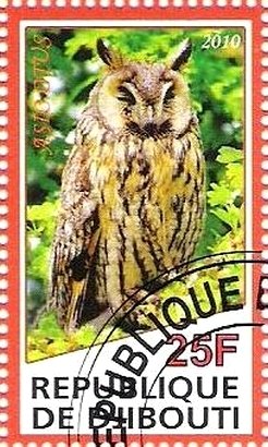 Asio Otus