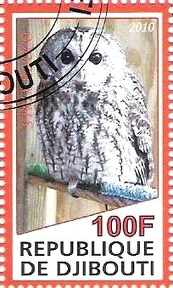 Strix Aluco