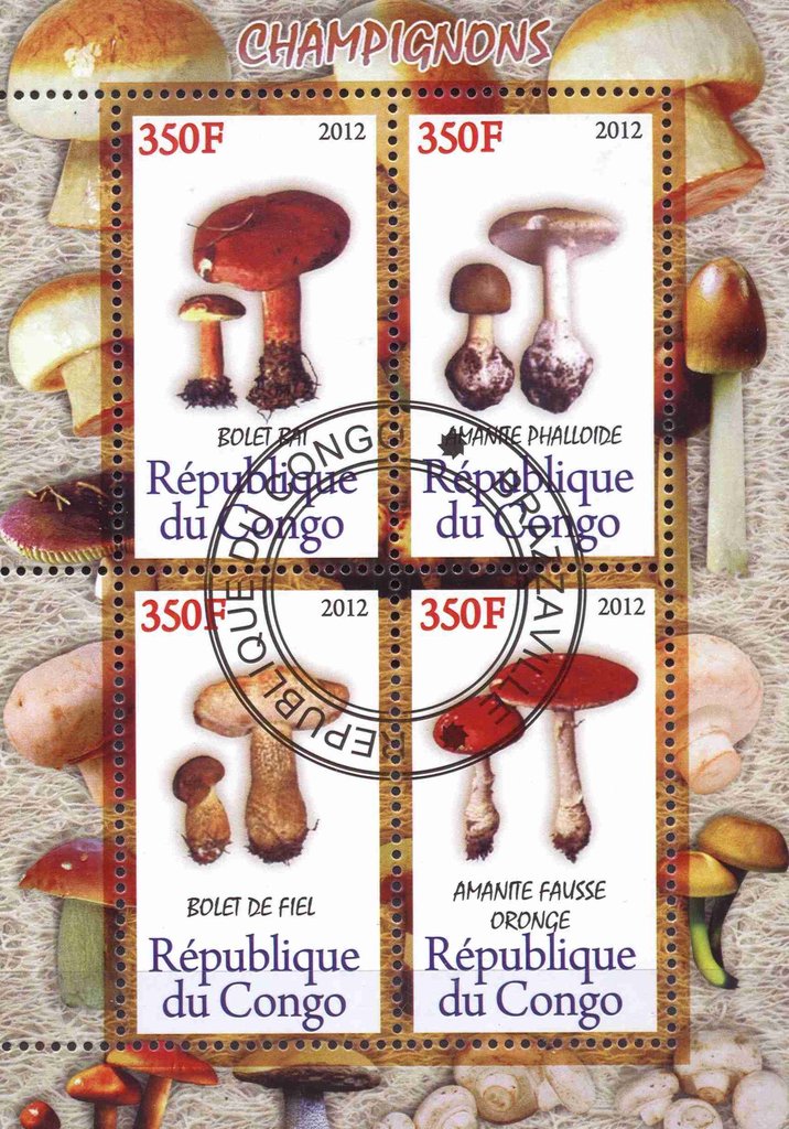Champignons