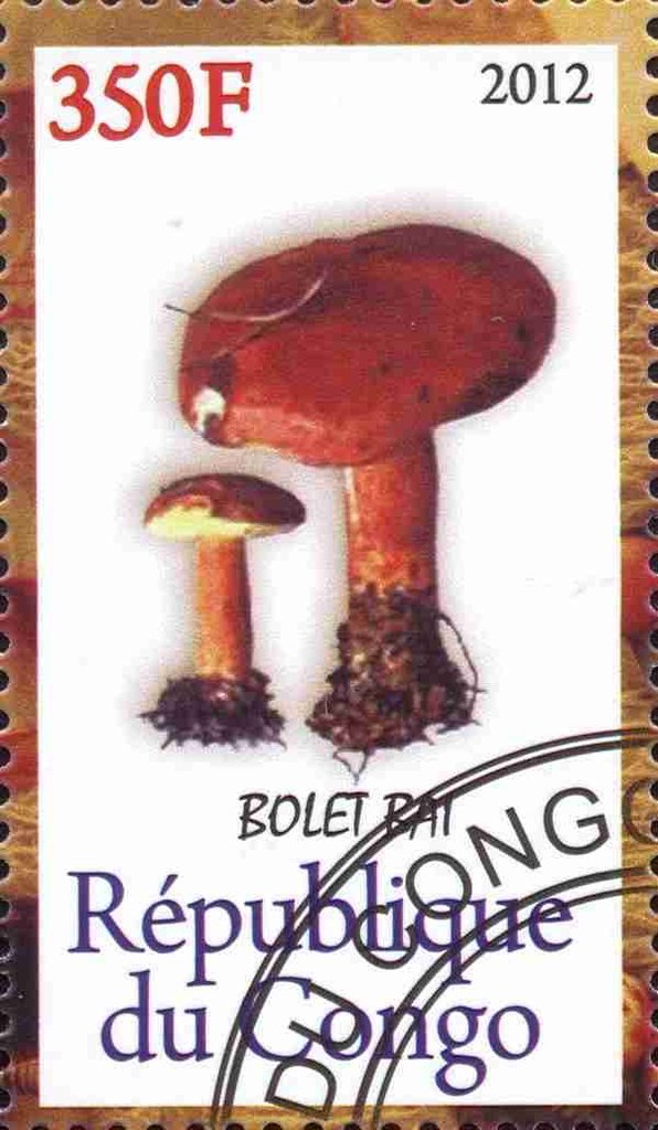 Champignons