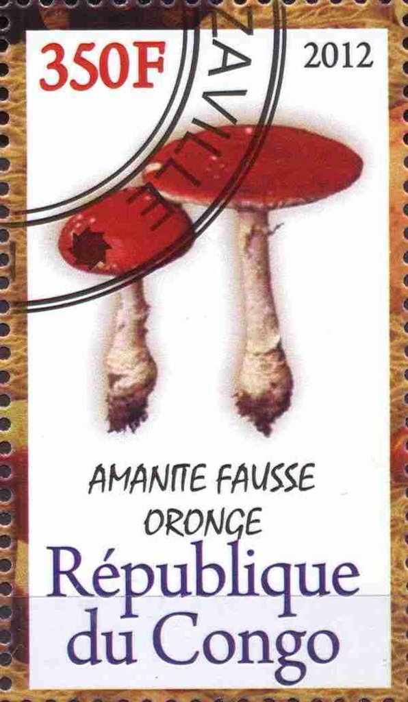 Champignons
