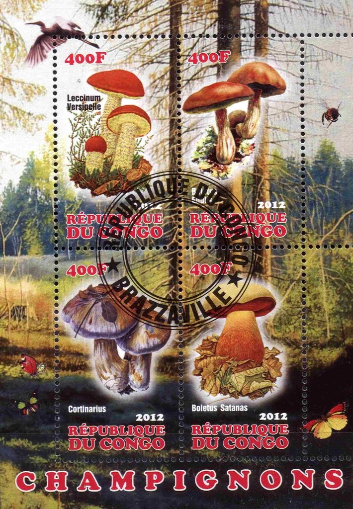 Champignons