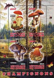Mini Sheet, Champignons, Cinderellas,  , Mushrooms