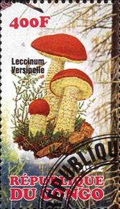 Stamp, Leccinum versipelle, Cinderellas,  , Mushrooms