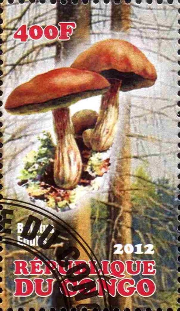 Mushrooms