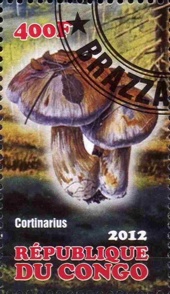 Cortinarius
