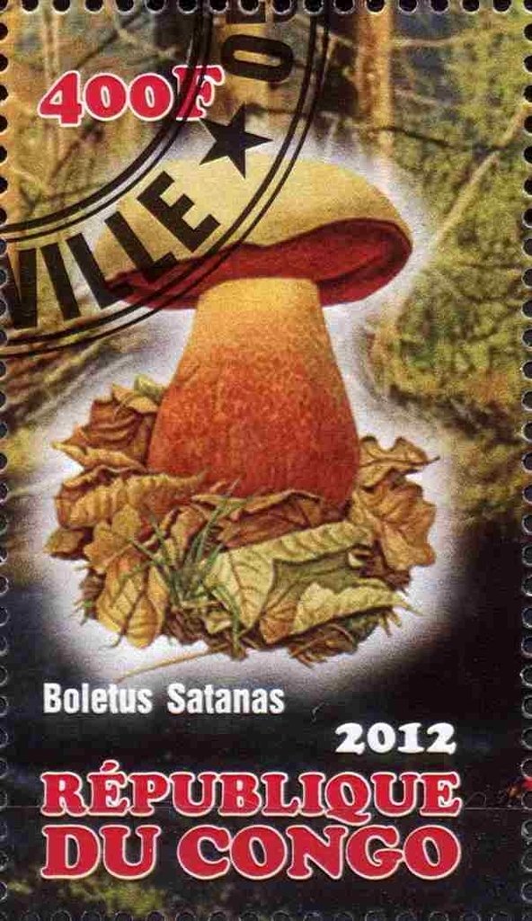 Boletus satanas