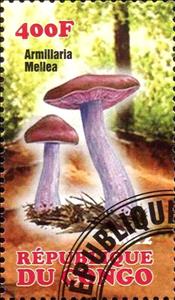 Stamp, Armillaria mellea, Cinderellas,  , Mushrooms