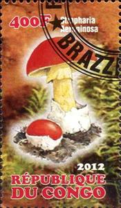 Stamp, Stropharia aeroginasa, Cinderellas,  , Mushrooms