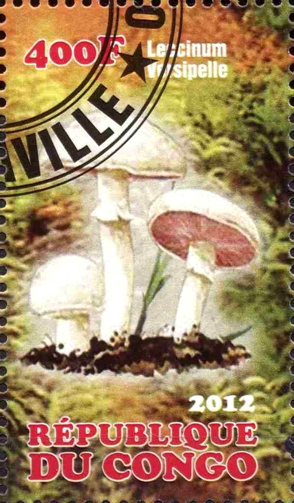 Mushrooms
