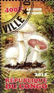 Stamp, Mushrooms, Cinderellas,  , Mushrooms