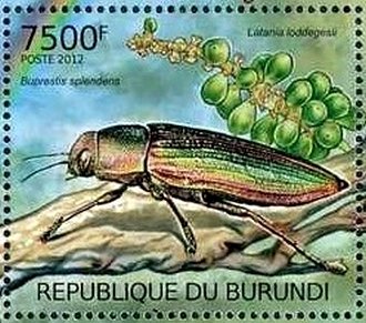 Insects & Plants of Red List
