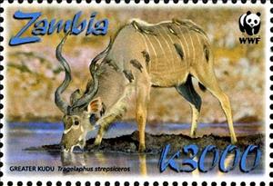 Stamp, Greater Kudu (Tragelaphus strepsiceros), Zambia,  , Animals (Fauna), Mammals, WWF
