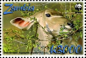 Stamp, Greater Kudu (Tragelaphus strepsiceros), Zambia,  , Animals (Fauna), Mammals, WWF