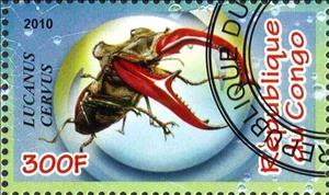Stamp, Lucanus cervus, Cinderellas,  , Insects