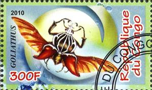 Stamp, Goliathus, Cinderellas,  , Insects