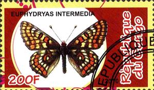 Stamp, Euphydryas intermedia, Cinderellas,  , Butterflies