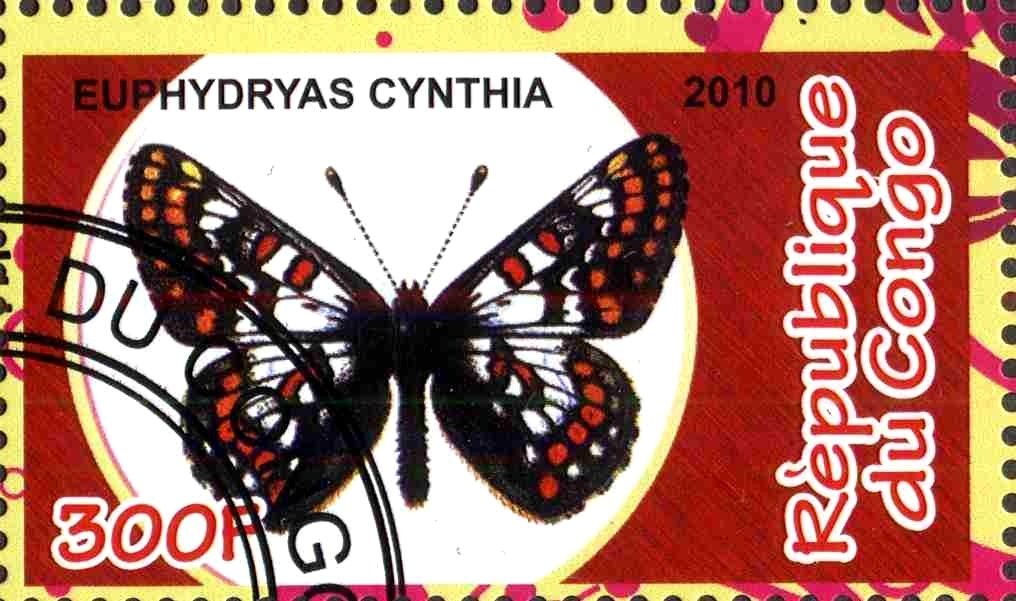 Euphydryas cynthia
