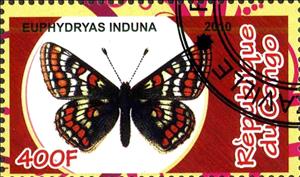 Stamp, Euphydryas induna, Cinderellas,  , Butterflies