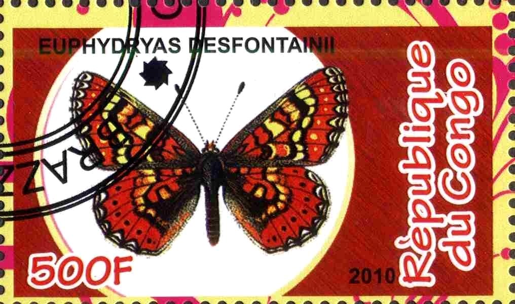 Euphydryas desfontainii