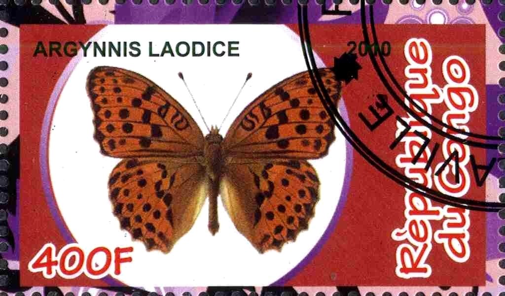 Argynnis laodice