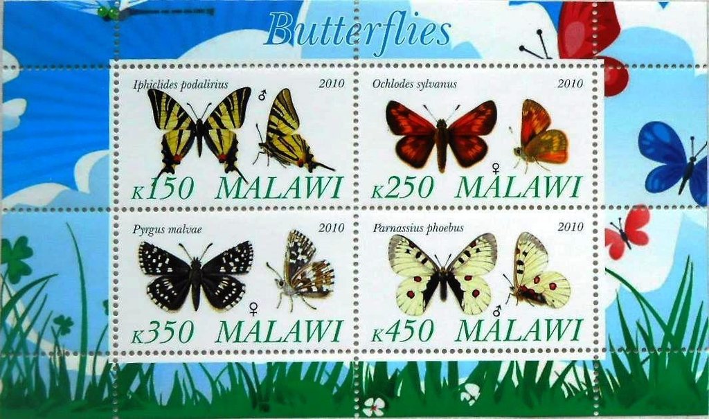 Butterflies
