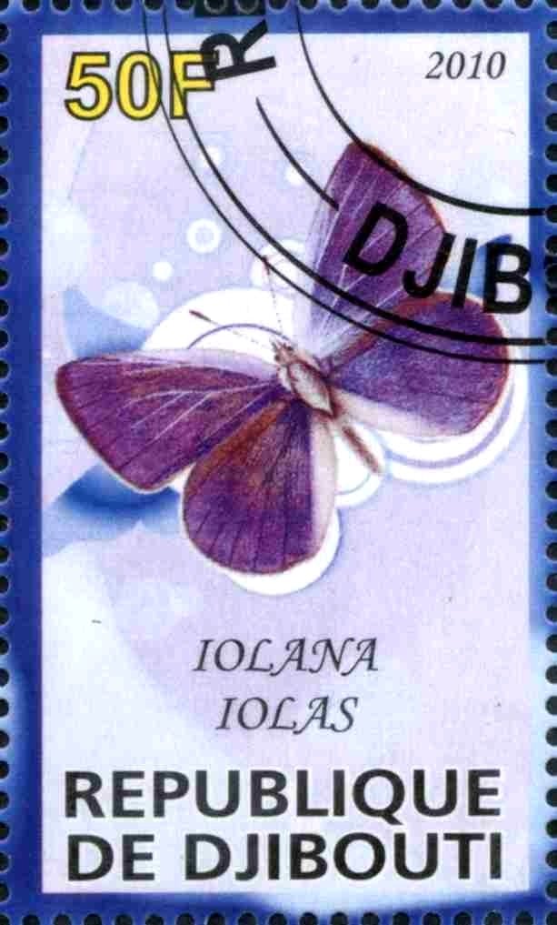 Iolana Iolas