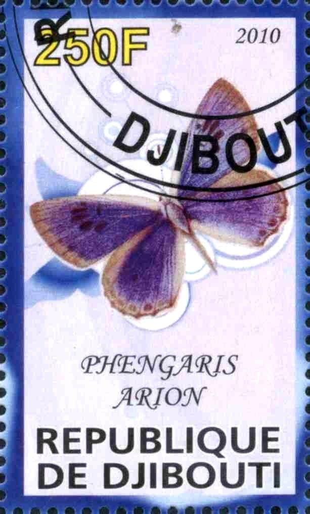 Phengaris Arion