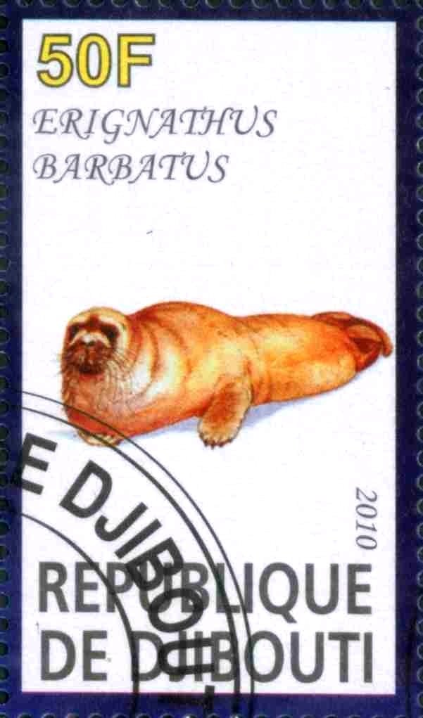 Erignathus Barbatus
