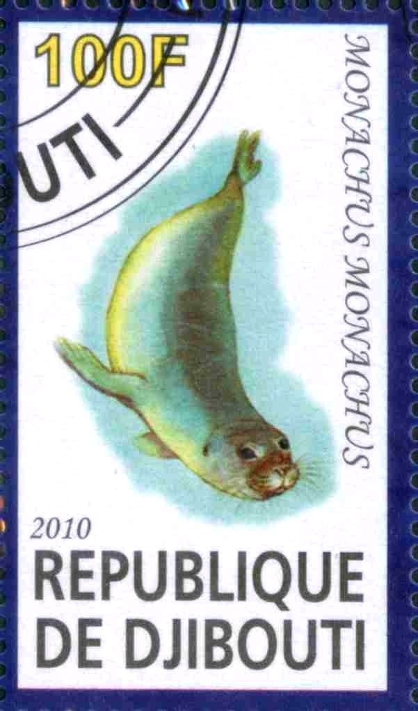 Monachus Monachus