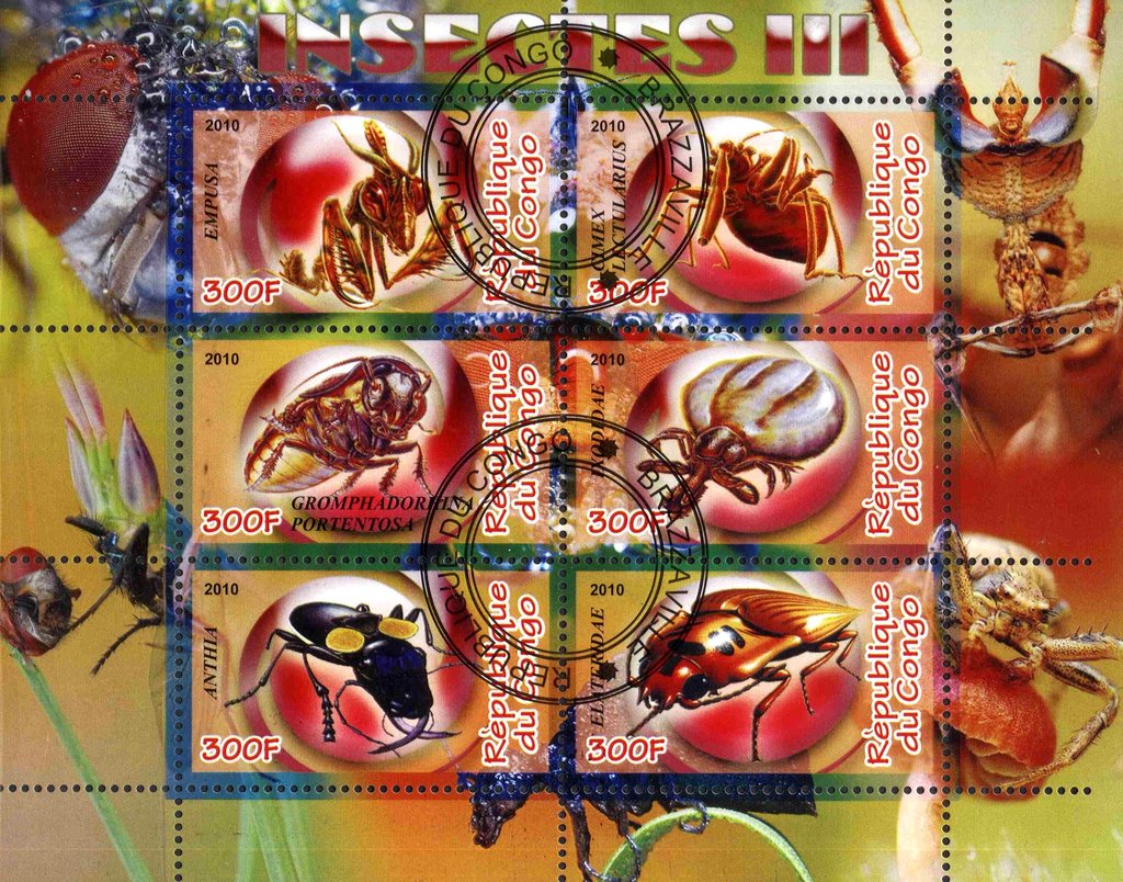 Insectes III